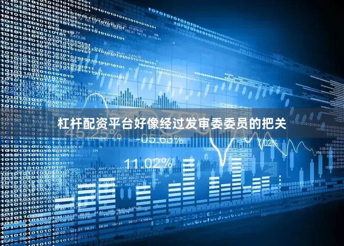杠杆配资平台好像经过发审委委员的把关