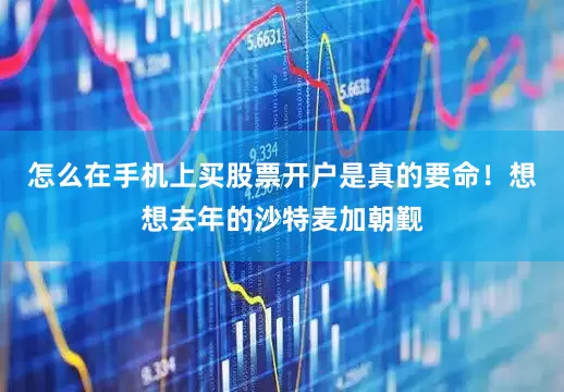 怎么在手机上买股票开户是真的要命！想想去年的沙特麦加朝觐