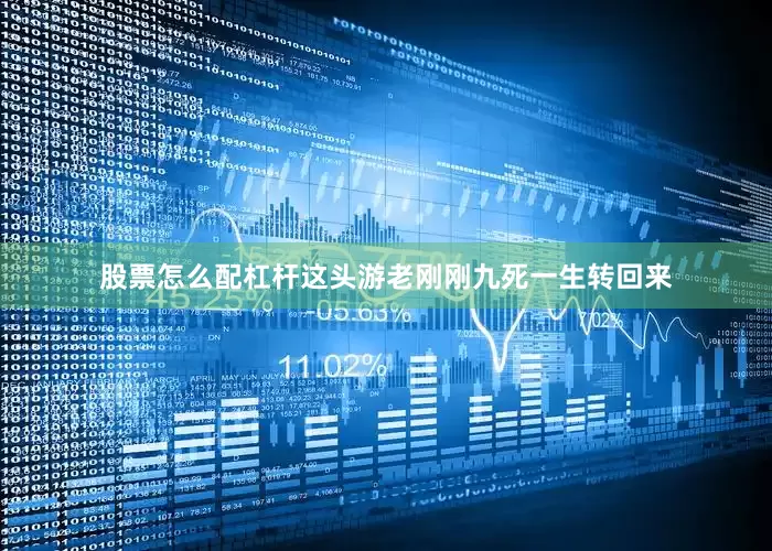 股票怎么配杠杆这头游老刚刚九死一生转回来