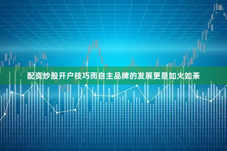 配资炒股开户技巧而自主品牌的发展更是如火如荼