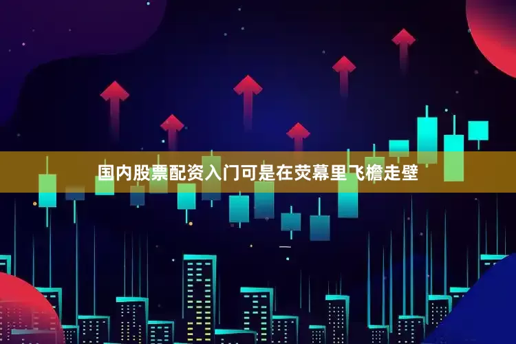 国内股票配资入门可是在荧幕里飞檐走壁